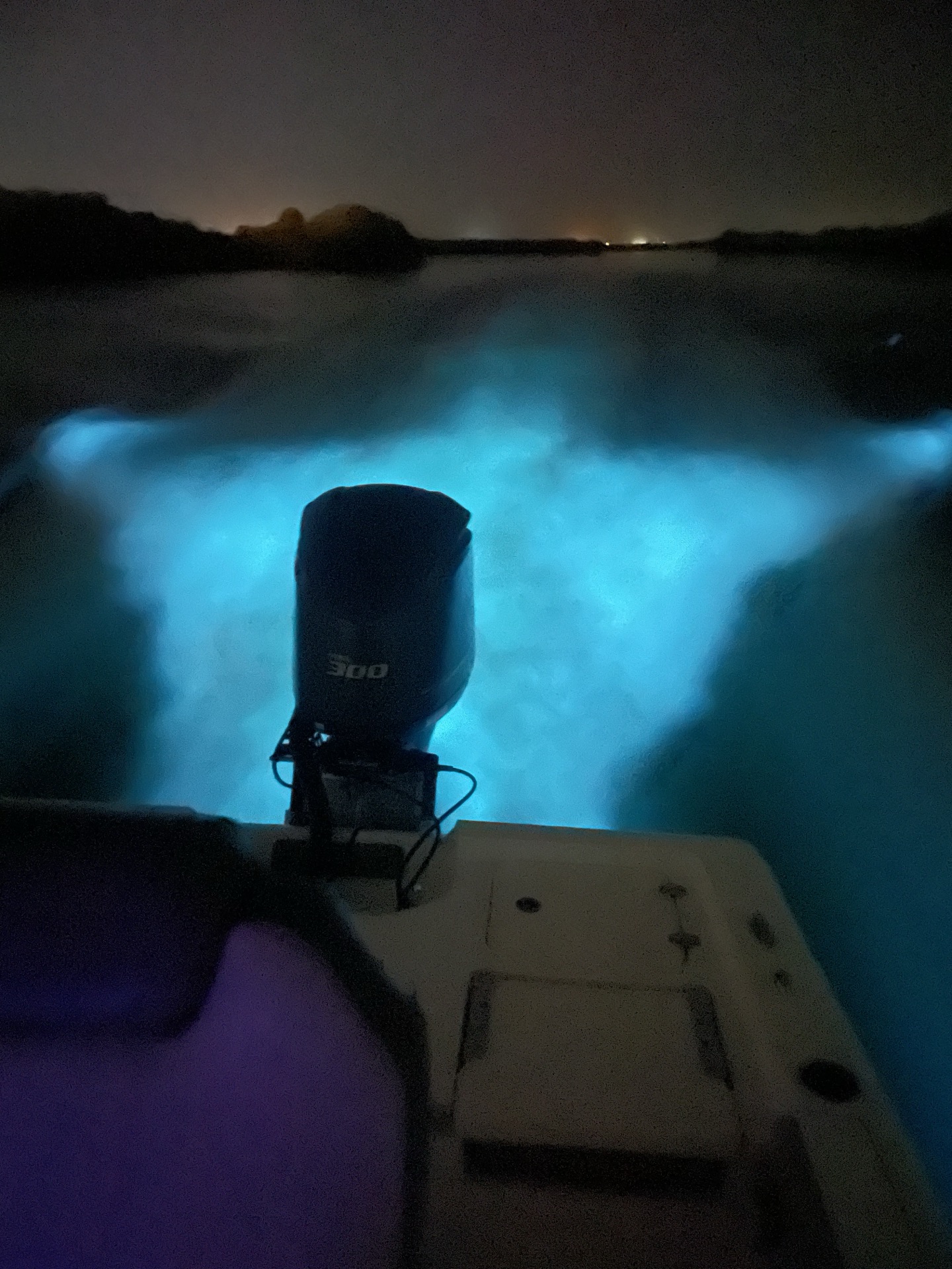 Glowing wake behind a boat on the Banana River Lagoon at night