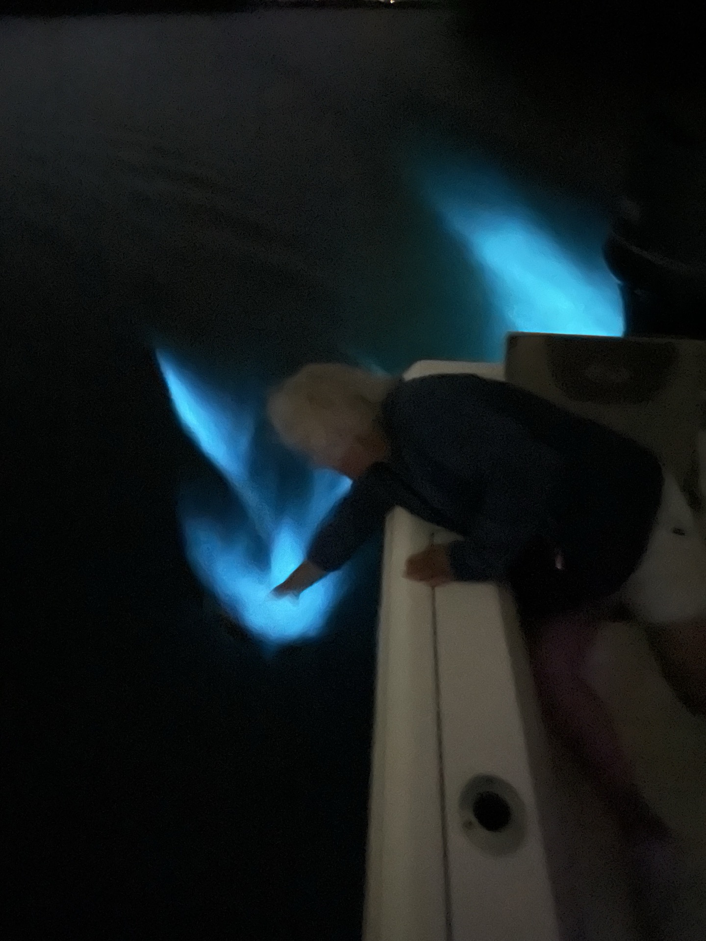 Guest reaching toward glowing blue water from the side of a boat at night