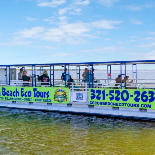 9-web-or-mls-DolphinTour.1-1
