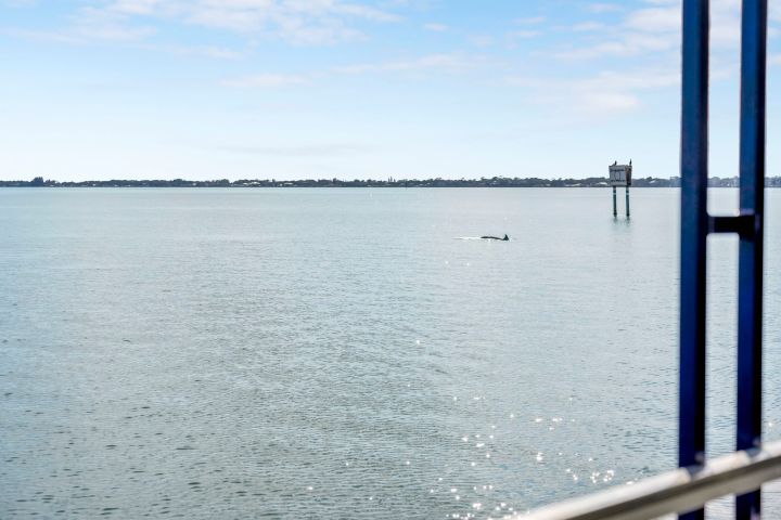 Calm sea with a dolphin fin near a distant signpost, viewed from a blue railing.