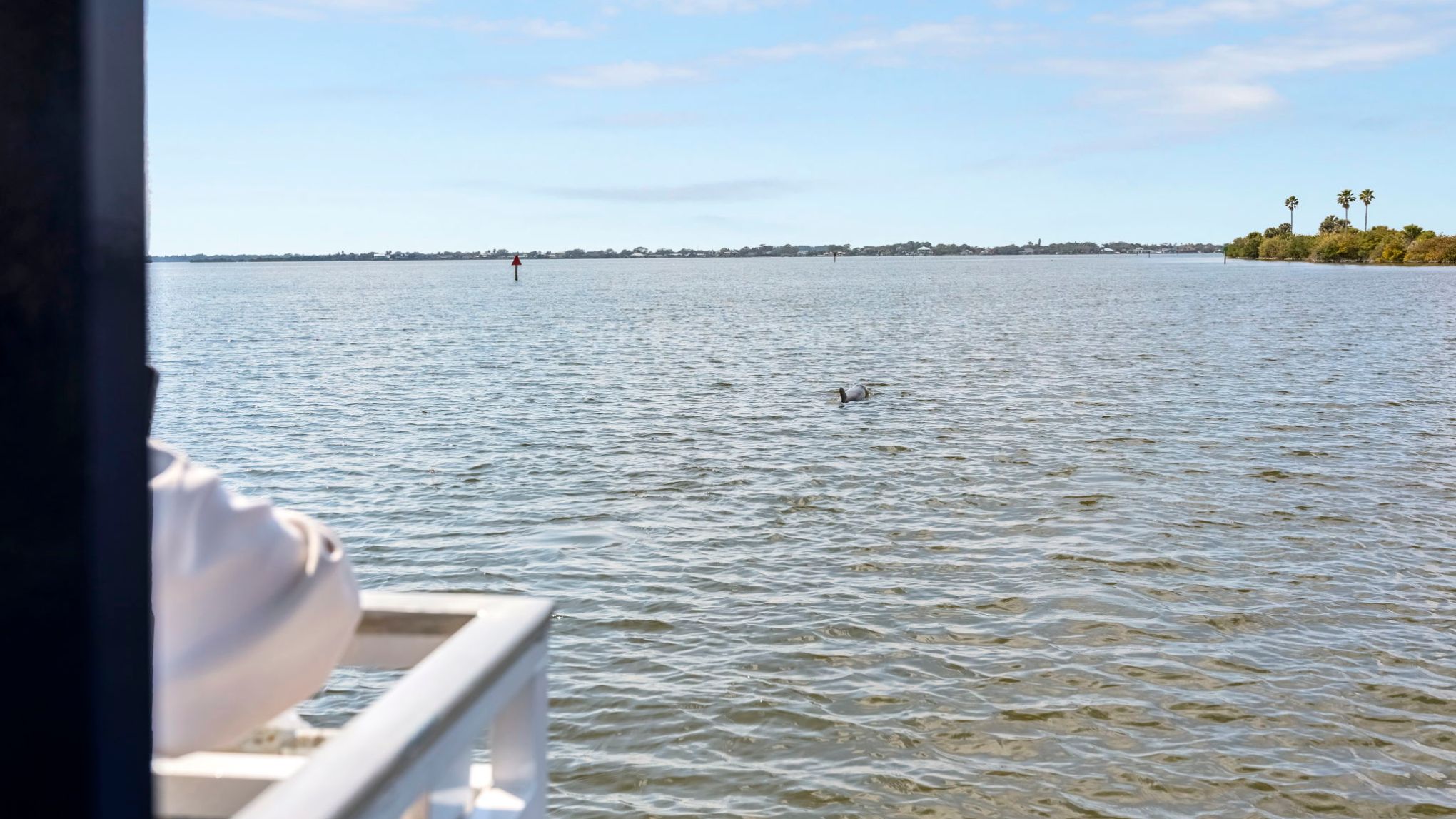 View of a calm body of water from a boat, with distant trees and a small buoy visible.