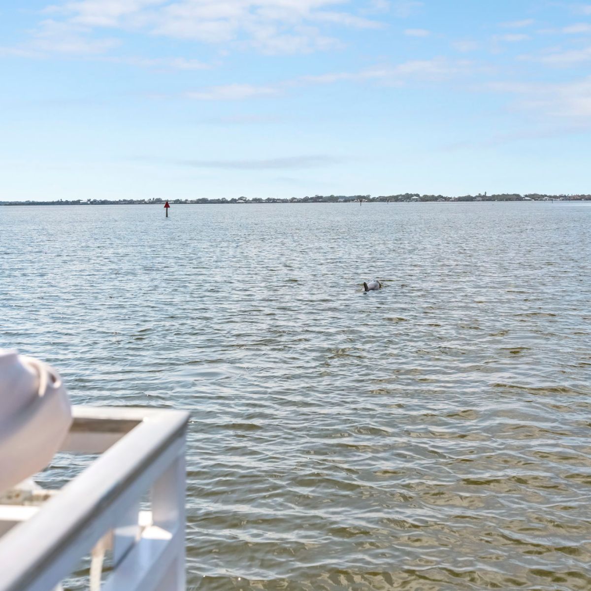 View of a calm body of water from a boat, with distant trees and a small buoy visible.