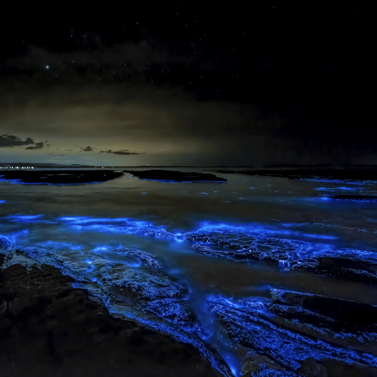 Bioluminescent blue waves under a starry night sky at the shoreline.