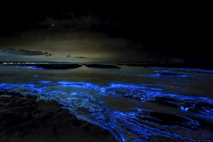 Bioluminescent blue waves under a starry night sky at the shoreline.