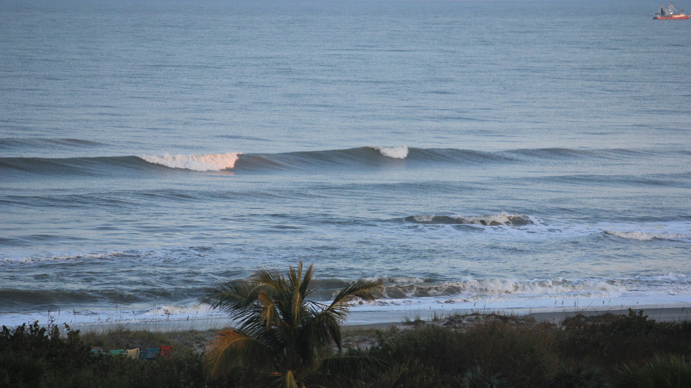 Ocean waves and a palm tree on the shore with a boat in the distance.