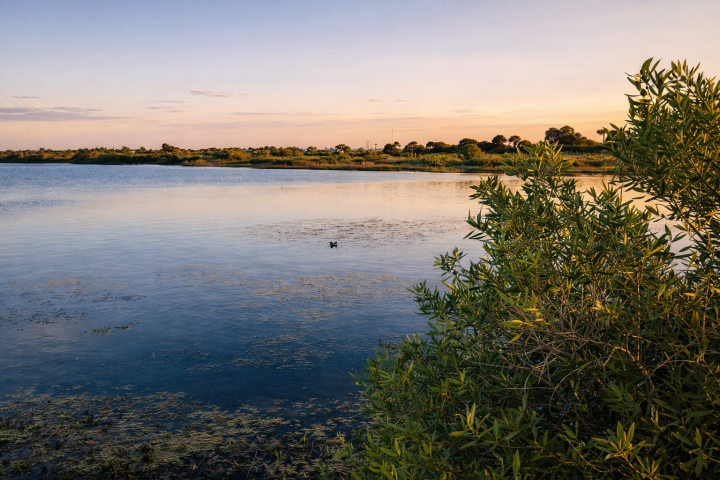 Lake at sunset with bushes in the foreground and distant trees on the horizon.