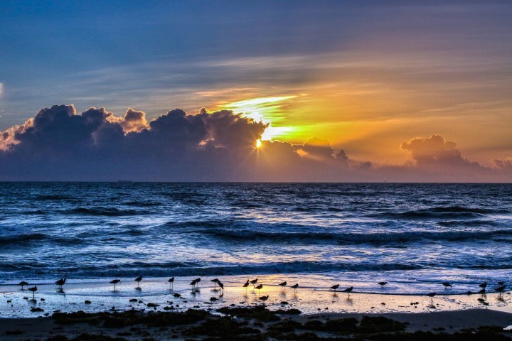 Sunrise over ocean with clouds and birds on sandy shore.